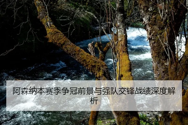 阿森纳本赛季争冠前景与强队交锋战绩深度解析